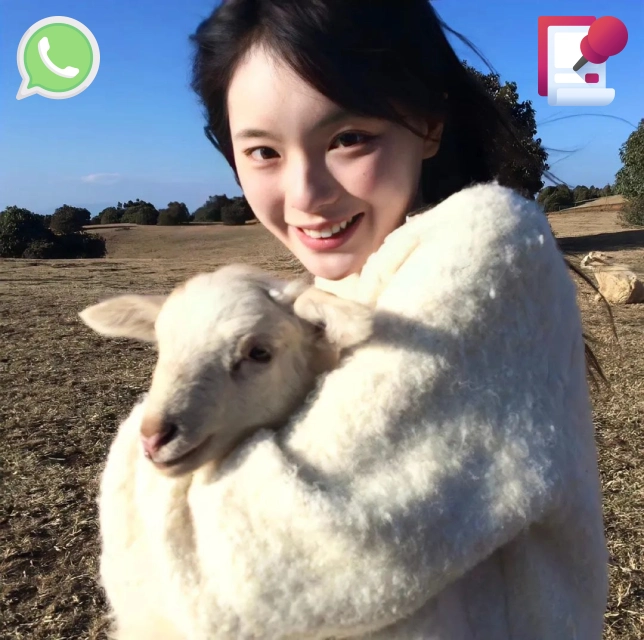 周先生